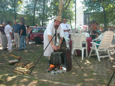 Balaton Tourism for lakeside holidays.