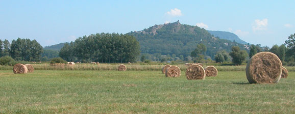 View from the cycle route towards Szigliget and Badacsony in the distance