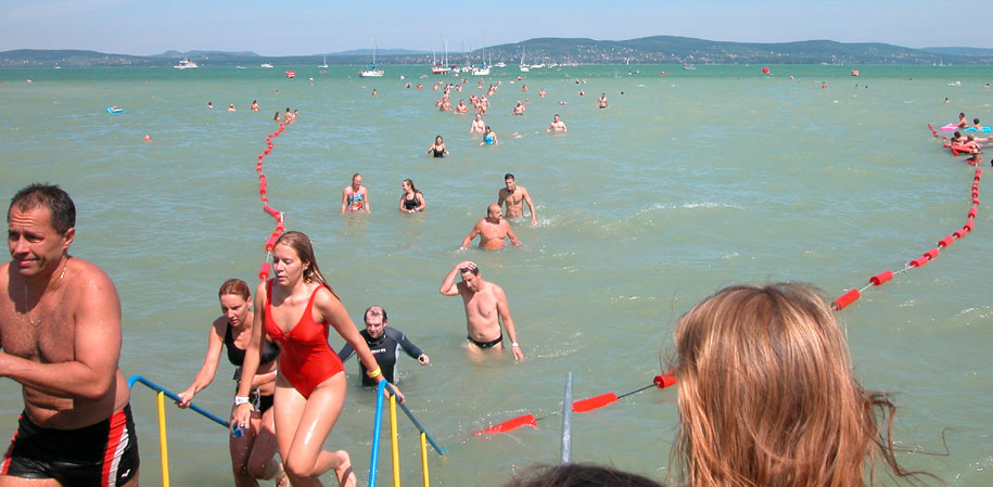 The annual 5.2 km swim from Refulop to Balatonboglar