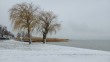Lakeside winter at Balatonboglar